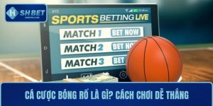Cá cược bóng rổ là gì? Hướng dẫn cách chơi dễ thắng