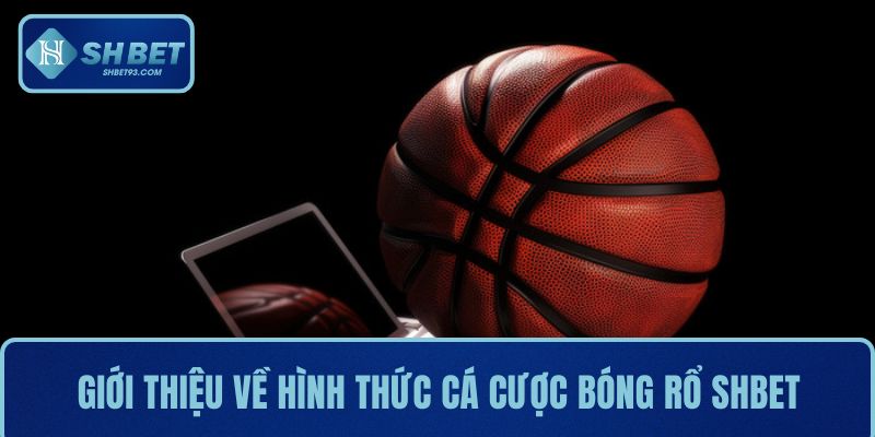 Cá cược bóng rổ là gì? Hướng dẫn cách chơi dễ thắng 2 Giới thiệu về hình thức giải trí cá cược bóng rổ tại SHBET