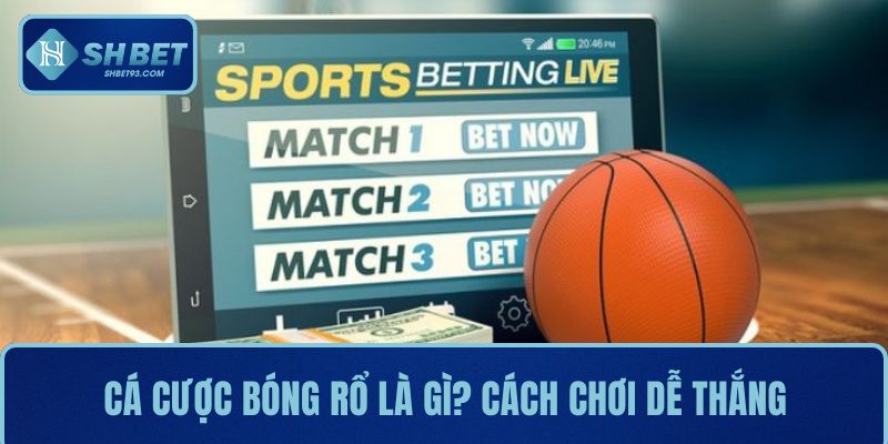 Cá cược bóng rổ là gì? Hướng dẫn cách chơi dễ thắng