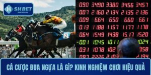 Cá cược đua ngựa là gì? Kinh nghiệm chơi hiệu quả