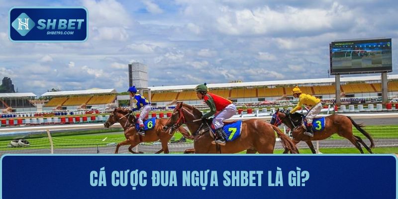 Cá cược đua ngựa là gì? Kinh nghiệm chơi hiệu quả 2 Cá cược đua ngựa SHBET là gì?