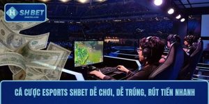 Cá Cược Esports SHBET Dễ Chơi, Dễ Trúng, Rút Tiền Nhanh