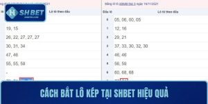 Cách Bắt Lô Kép Tại SHBET Hiệu Quả Giúp Tăng Tỷ Lệ Trúng