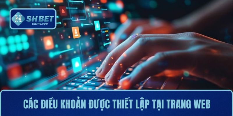 Chính Sách Bảo Mật | Quy Định Cốt Lõi Trong Mọi Hệ Thống 3 Các điều khoản được thiết lập tại trang web cho hội viên