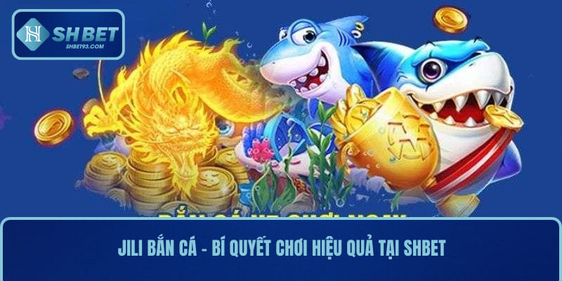 Jili Bắn Cá SHBET - Tham Gia Game Bắn Cá Đổi Thưởng Hấp Dẫn 3 Jili bắn cá - Bí quyết chơi hiệu quả tại SHBET