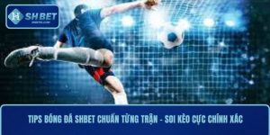 Tips Bóng Đá SHBET Chuẩn Từng Trận – Soi Kèo Cực Chính Xác