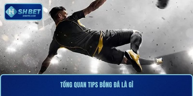 Tips Bóng Đá SHBET Chuẩn Từng Trận – Soi Kèo Cực Chính Xác 2 Tổng quan tips bóng đá là gì